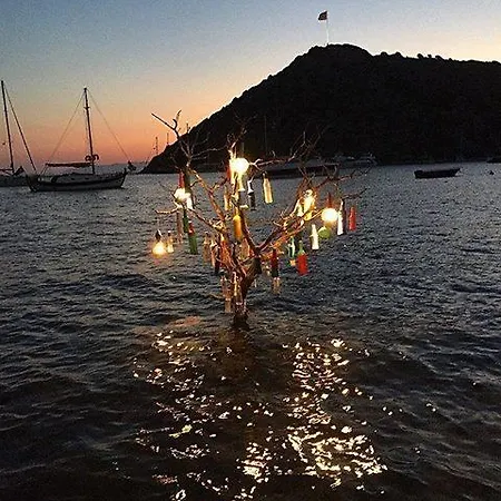 公寓式酒店 坦公寓 *